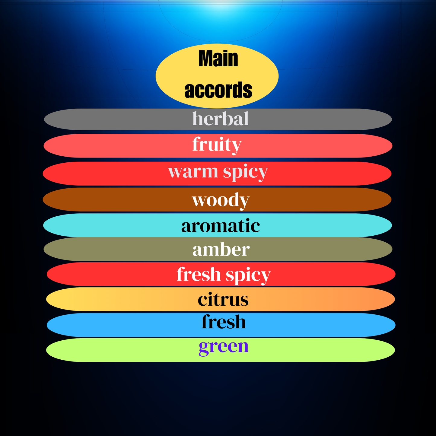 Sadeq men perfume inspired by YSL Y Eau de Parfum notes